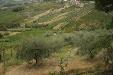 Terreno Agricolo in vendita a Torrevecchia Teatina in via chieti - 04, Foto 4