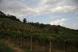 Terreno Agricolo in vendita a Torrevecchia Teatina in via chieti - 09, Foto 9