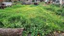Terreno Edificabile in vendita a Capodrise - 03, Foto 3