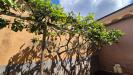 Casa indipendente in vendita con giardino a Marcianise - 09, Foto 9