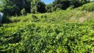 Terreno Agricolo in vendita a Capodrise - 10, Foto 10
