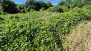 Terreno Agricolo in vendita a Capodrise - 04, Foto 4