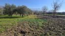 Terreno Agricolo in vendita a Sant'Agata De' Goti - 09, Foto 9