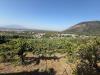 Terreno Agricolo in vendita a Roccarainola in zona veterale - 04, Foto 4