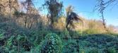 Terreno Agricolo in vendita a Ottaviano - 03, Foto 3