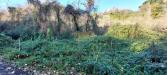 Terreno Agricolo in vendita a Ottaviano - 04, Foto 4