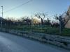 Terreno Agricolo in vendita a Somma Vesuviana - 03, Foto 3