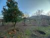 Terreno Agricolo in vendita a Somma Vesuviana - 06, Foto 6