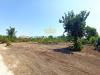Terreno Agricolo in vendita a Ottaviano - 06, Foto 6