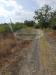 Terreno Agricolo in vendita a Somma Vesuviana - 03, Foto 3