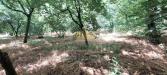 Terreno Agricolo in affitto a San Gennaro Vesuviano - 03, Foto 3