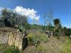 Terreno Agricolo in vendita a San Giuseppe Vesuviano - 02, Foto 2