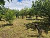 Terreno Agricolo in vendita a Somma Vesuviana - 04, Foto 4