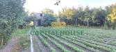 Terreno Agricolo in vendita a Somma Vesuviana in via pigno - 09, Foto 9