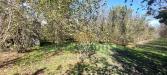 Terreno Agricolo in vendita a Poggiomarino in contrada colonna - 02, Foto 2