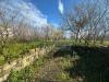 Terreno Agricolo in vendita a Terzigno in via zabatta - 04, Foto 4