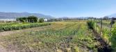 Terreno Agricolo in vendita a Poggiomarino in via ceraso - 02, Foto 2