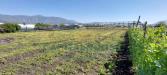 Terreno Agricolo in vendita a Poggiomarino in via ceraso - 08, Foto 8