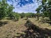 Terreno Agricolo in vendita a Somma Vesuviana in via santa chiara - 02, Foto 2