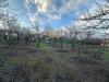 Terreno Agricolo in vendita a Somma Vesuviana in contrada capra biannca - 05, Foto 5