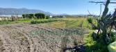 Terreno Agricolo in vendita a Poggiomarino in via ceraso - 05, Foto 5