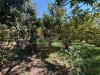 Terreno Agricolo in vendita a San Gennaro Vesuviano in via napoli - 05, Foto 5