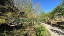Terreno Agricolo in vendita a Mugnano del Cardinale - 04, Foto 4