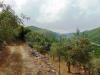 Terreno Agricolo in vendita a Mugnano del Cardinale - 03, Foto 3