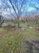 Terreno Agricolo in vendita a Mugnano del Cardinale - 03, Foto 3