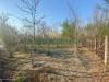 Terreno Agricolo in vendita a Mugnano del Cardinale - 05, Foto 5