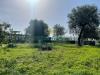 Terreno Edificabile in vendita a Mugnano del Cardinale - 04, Foto 4