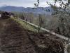 Terreno Agricolo in vendita a Avella - 02, Foto 2