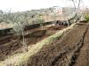 Terreno Agricolo in vendita a Avella - 08, Foto 8