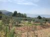 Casa indipendente in vendita con giardino a Avella - 06, Foto 6