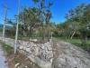Terreno Agricolo in vendita a Avella - 10, Foto 10