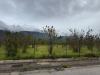 Terreno Industriale in vendita a Mugnano del Cardinale - 10, Foto 10
