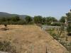 Terreno Agricolo in vendita a Mugnano del Cardinale in mugnano del cardinale - 03, Foto 3