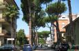 Appartamento in affitto a Pisa in via di pratale - 04, Foto 5