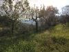 Terreno Edificabile in vendita a Monsampolo del Tronto - 02, Foto 2