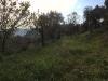 Terreno Edificabile in vendita a Monsampolo del Tronto - 05, Foto 5