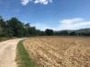 Terreno Agricolo in vendita a Spinetoli in via fiobbo - 03, Foto 3