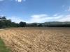 Terreno Agricolo in vendita a Spinetoli in via fiobbo - 05, Foto 5
