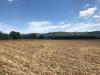 Terreno Agricolo in vendita a Spinetoli in via fiobbo - 06, Foto 6