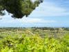 Villa in vendita con giardino a San Benedetto del Tronto in strada vicinale della viscontessa 1 - 10, Foto 12