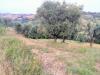 Terreno Agricolo in vendita a Monsampolo del Tronto - 02, Foto 2