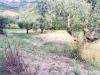 Terreno Agricolo in vendita a Monsampolo del Tronto - 05, Foto 5