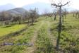 Terreno Agricolo in vendita a Sant'Egidio alla Vibrata - 03, Foto 3