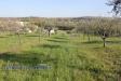 Terreno Agricolo in vendita a Sant'Egidio alla Vibrata - 06, Foto 6