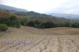 Terreno Agricolo in vendita a Tossicia - 06, Foto 6