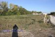 Terreno Agricolo in vendita a Maltignano - 04, Foto 4